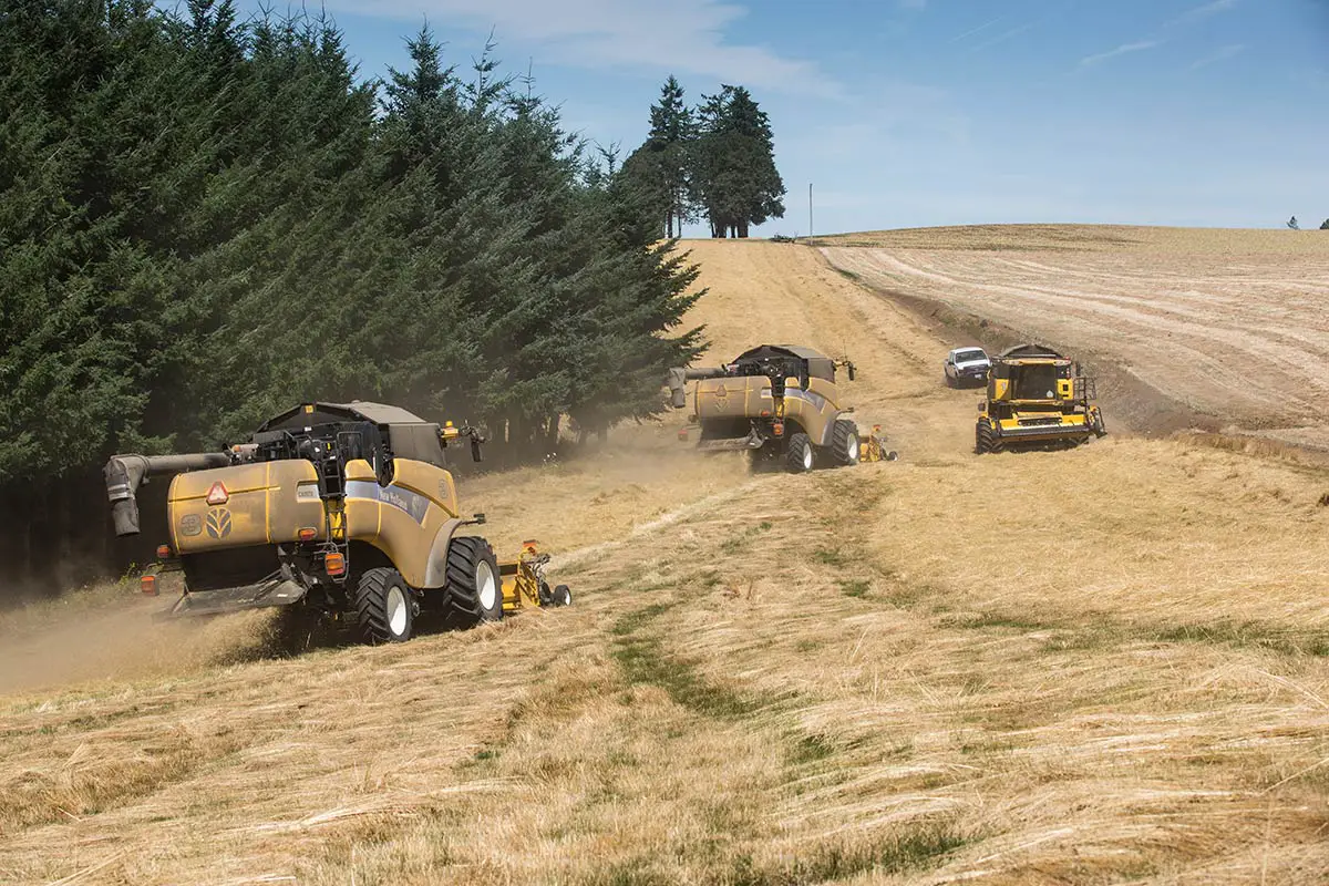 Three yellow farming tractors in a hayfield harvesting and bailing hay